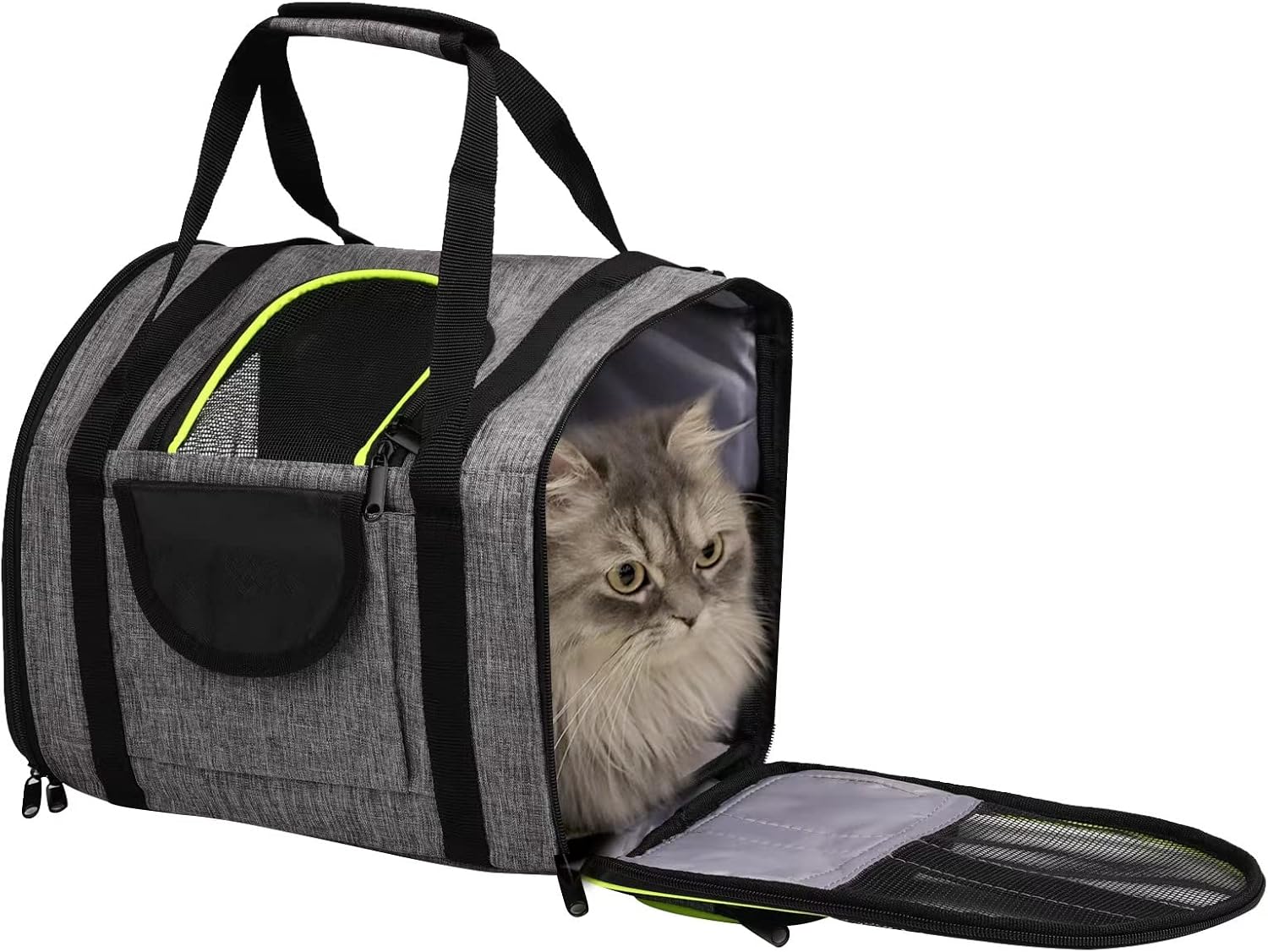 Celltei セルティ鳥用キャリー Sサイズ グリーン 鳥用品 | filmekimi